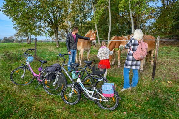 Family with bikes at a horse paddock in Dübener Heide