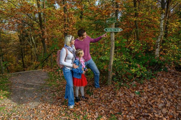 Hiking on the Heide Beaver Tour in the Düben Heath