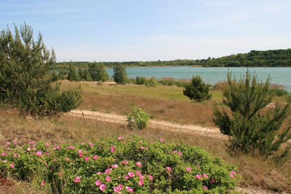 Goitzsche Wilderness