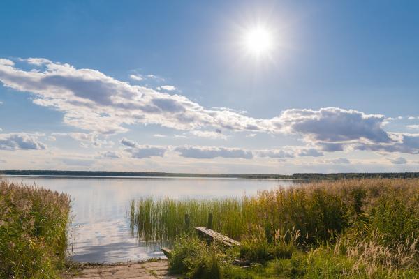 Goitzsche Wilderness near Bitterfeld-Wolfen
