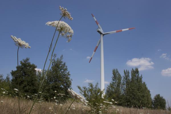 Wind farm "Barbarahöhe" on the high dump Zschornewitz