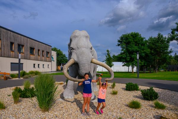 Children in front of the replica of the Gröbenr forest elephant in front of the lake and forest resort