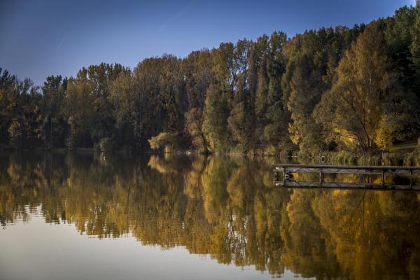 Blick auf Kretzschauer See