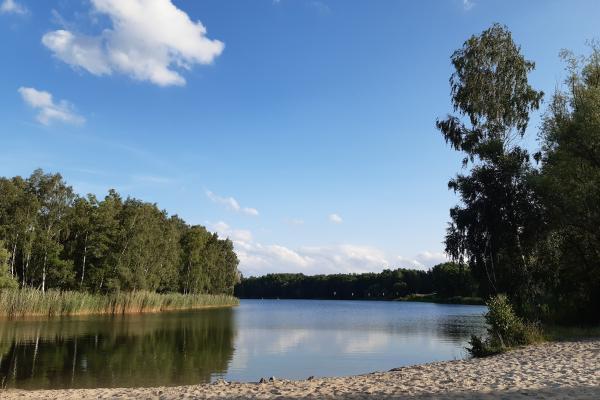 Zschornewitzer See
